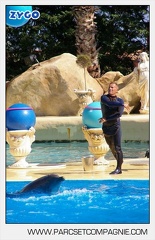 Marineland - Dauphins - Spectacle - 14h30 - 5896