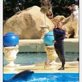 Marineland - Dauphins - Spectacle - 14h30 - 5896