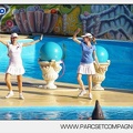 Marineland - Dauphins - Spectacle - 17h00 - 5897