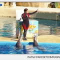 Marineland - Dauphins - Spectacle - 17h00 - 5901