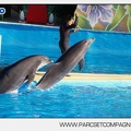 Marineland - Dauphins - Spectacle - 17h00 - 5902