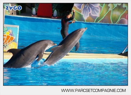 Marineland - Dauphins - Spectacle - 17h00 - 5902