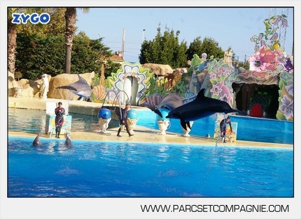 Marineland - Dauphins - Spectacle - 17h00 - 5904