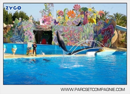 Marineland - Dauphins - Spectacle - 17h00 - 5905