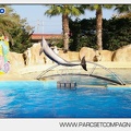Marineland - Dauphins - Spectacle - 17h00 - 5906