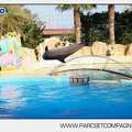 Marineland - Dauphins - Spectacle - 17h00 - 5907