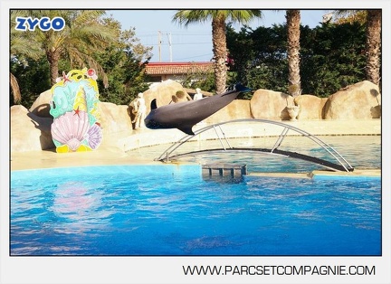 Marineland - Dauphins - Spectacle - 17h00 - 5907