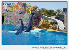 Marineland - Dauphins - Spectacle - 17h00 - 5908