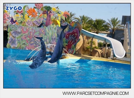 Marineland - Dauphins - Spectacle - 17h00 - 5908