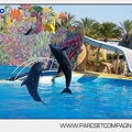 Marineland - Dauphins - Spectacle - 17h00 - 5909