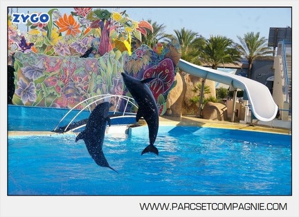 Marineland - Dauphins - Spectacle - 17h00 - 5909
