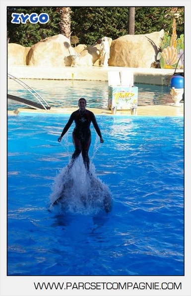 Marineland - Dauphins - Spectacle - 17h00 - 5910