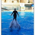 Marineland - Dauphins - Spectacle - 17h00 - 5910