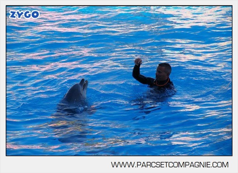Marineland - Dauphins - Spectacle - 17h00 - 5914