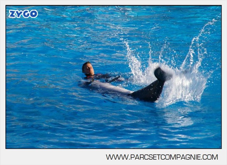 Marineland - Dauphins - Spectacle - 17h00 - 5916