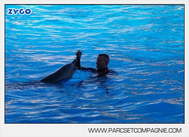 Marineland - Dauphins - Spectacle - 17h00 - 5917