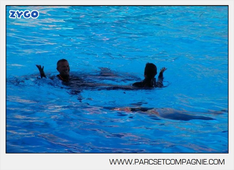 Marineland - Dauphins - Spectacle - 17h00 - 5918