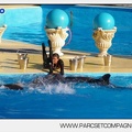 Marineland - Dauphins - Spectacle - 17h00 - 5920
