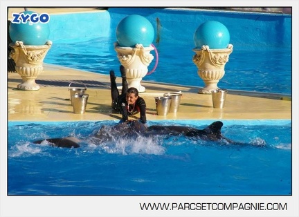 Marineland - Dauphins - Spectacle - 17h00 - 5920
