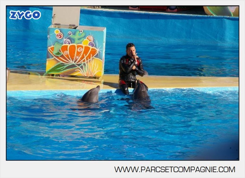 Marineland - Dauphins - Spectacle - 17h00 - 5921