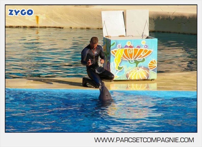 Marineland - Dauphins - Spectacle - 17h00 - 5922