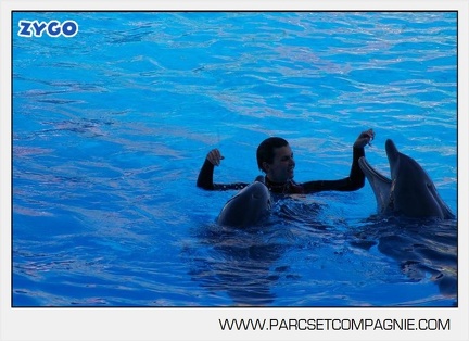 Marineland - Dauphins - Spectacle - 17h00 - 5924