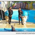 Marineland - Dauphins - Spectacle - 17h00 - 5925