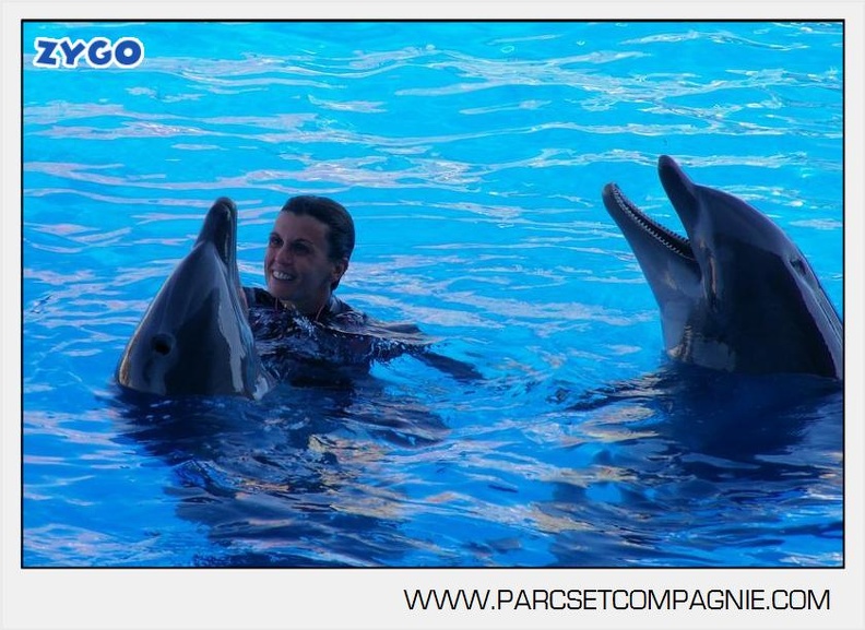 Marineland - Dauphins - Spectacle - 17h00 - 5926