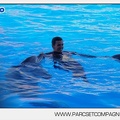 Marineland - Dauphins - Spectacle - 17h00 - 5927