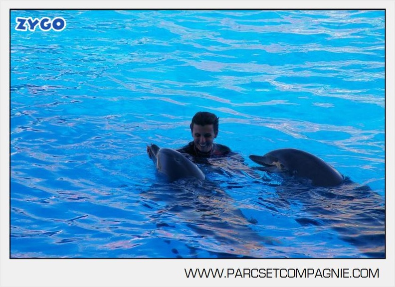 Marineland - Dauphins - Spectacle - 17h00 - 5929