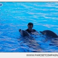 Marineland - Dauphins - Spectacle - 17h00 - 5929