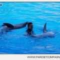 Marineland - Dauphins - Spectacle - 17h00 - 5930
