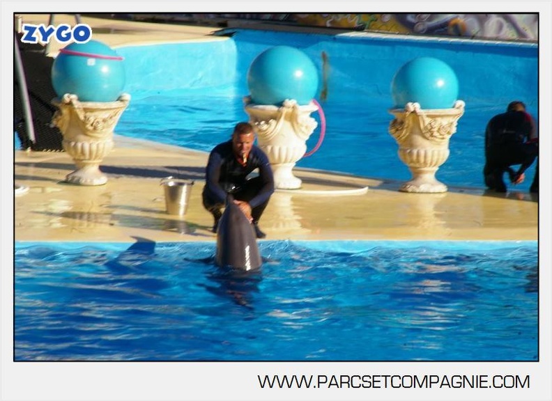 Marineland - Dauphins - Spectacle - 17h00 - 5931