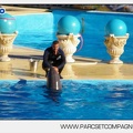 Marineland - Dauphins - Spectacle - 17h00 - 5931