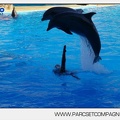 Marineland - Dauphins - Spectacle - 17h00 - 5933