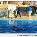 Marineland - Dauphins - Spectacle - 17h00 - 5934