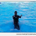 Marineland - Dauphins - Spectacle - 17h00 - 5935