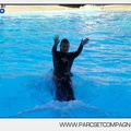 Marineland - Dauphins - Spectacle - 17h00 - 5936