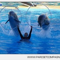 Marineland - Dauphins - Spectacle - 17h00 - 5937