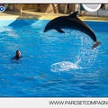 Marineland - Dauphins - Spectacle - 17h00 - 5939