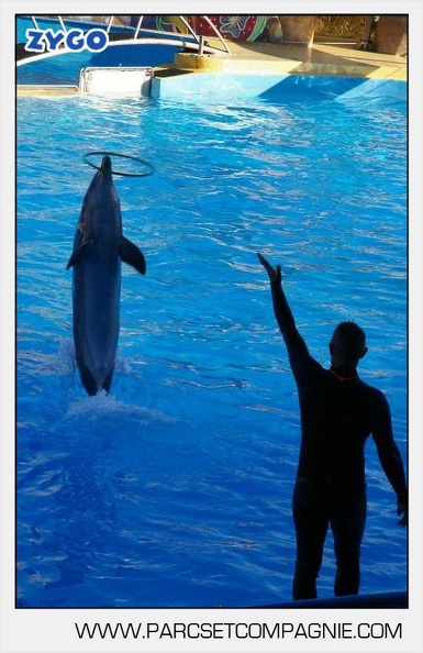 Marineland - Dauphins - Spectacle - 17h00 - 5940