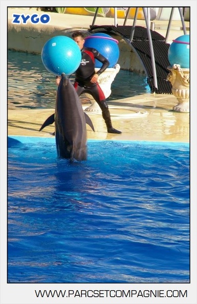 Marineland - Dauphins - Spectacle - 17h00 - 5942