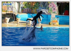 Marineland - Dauphins - Spectacle - 17h00 - 5944
