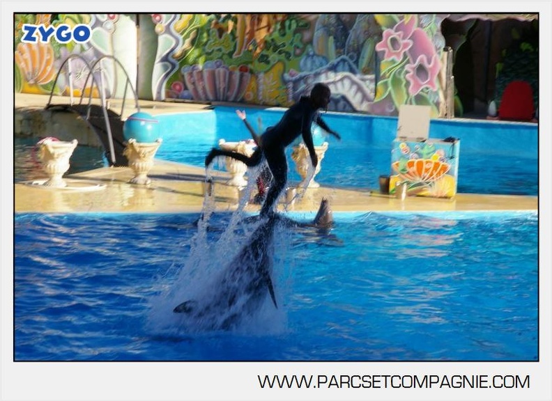Marineland - Dauphins - Spectacle - 17h00 - 5944