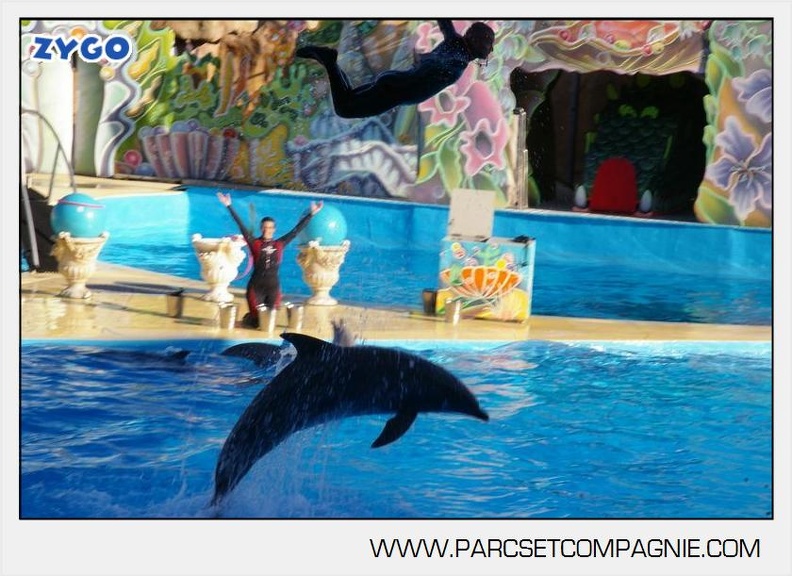 Marineland - Dauphins - Spectacle - 17h00 - 5945