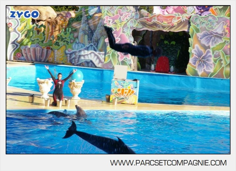 Marineland - Dauphins - Spectacle - 17h00 - 5946