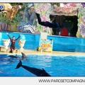 Marineland - Dauphins - Spectacle - 17h00 - 5946