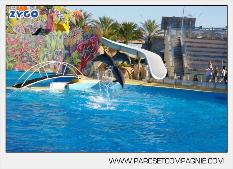 Marineland - Dauphins - Spectacle - 17h00 - 5947