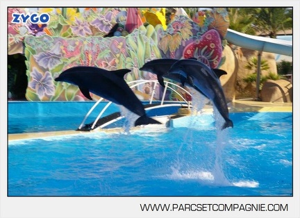 Marineland - Dauphins - Spectacle - 17h00 - 5948