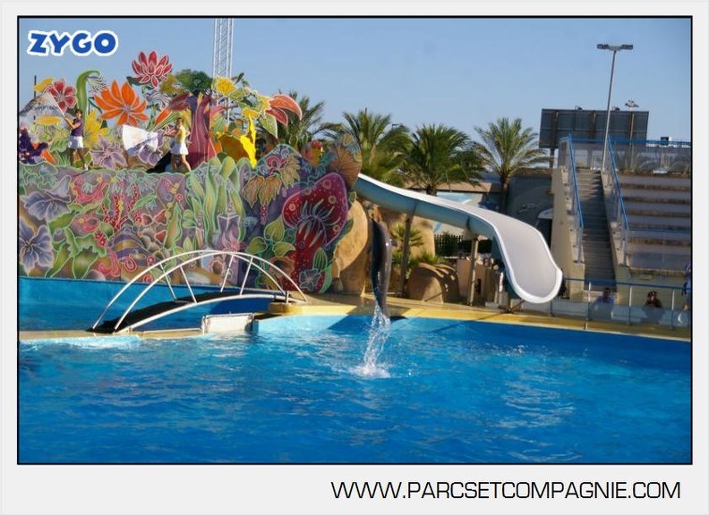 Marineland - Dauphins - Spectacle - 17h00 - 5949